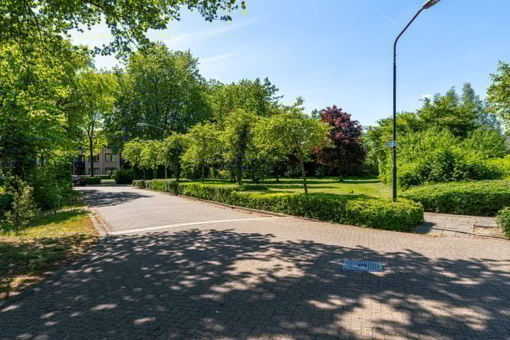 Foto 10 van Fazant 35