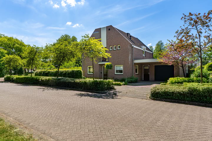 Foto 11 van Fazant 35