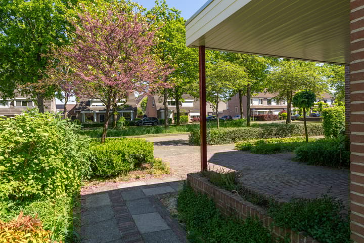 Foto 13 van Fazant 35