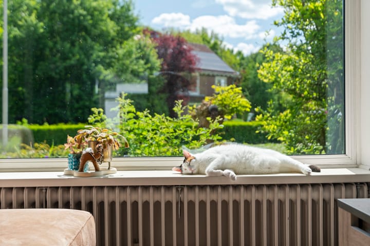 Foto 10 van Sportlaan 26