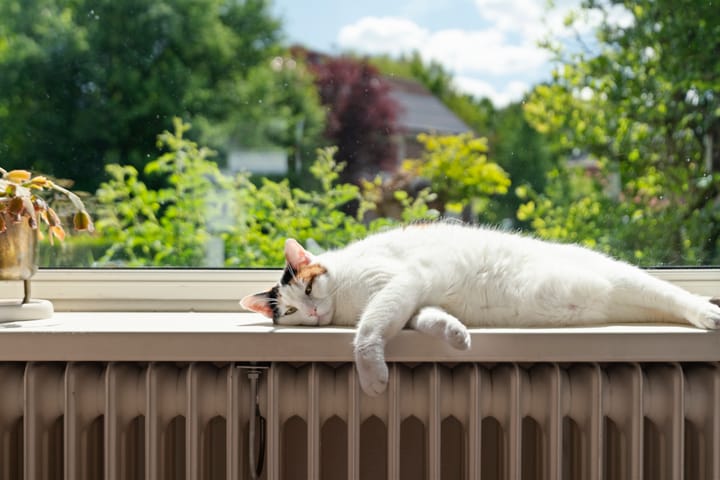 Foto 11 van Sportlaan 26