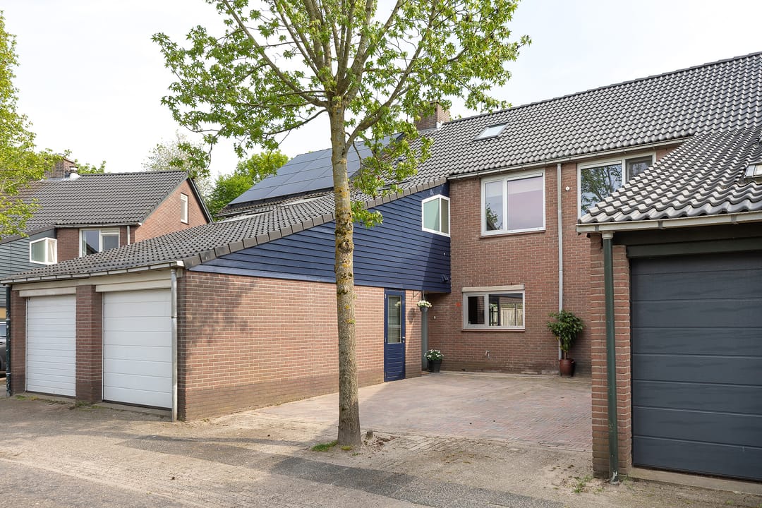 Foto 1 van Buizerd 14