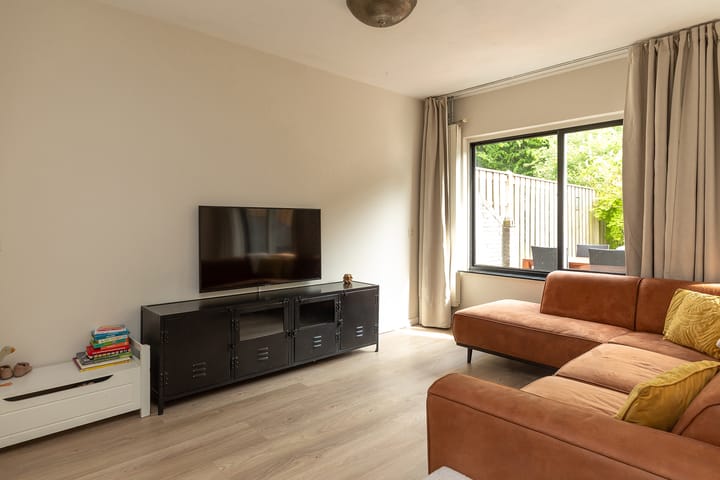 Foto 4 van Buizerd 14