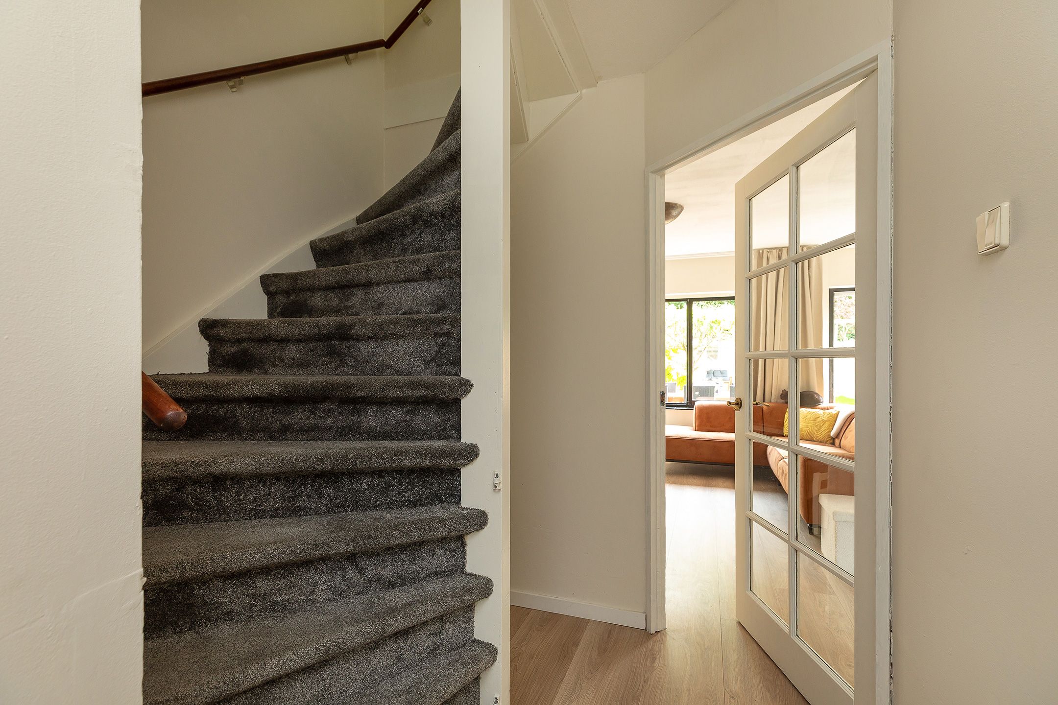 Foto 12 van Buizerd 14