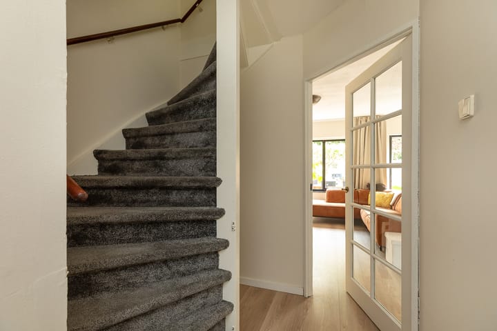 Photo 12 of Buizerd 14