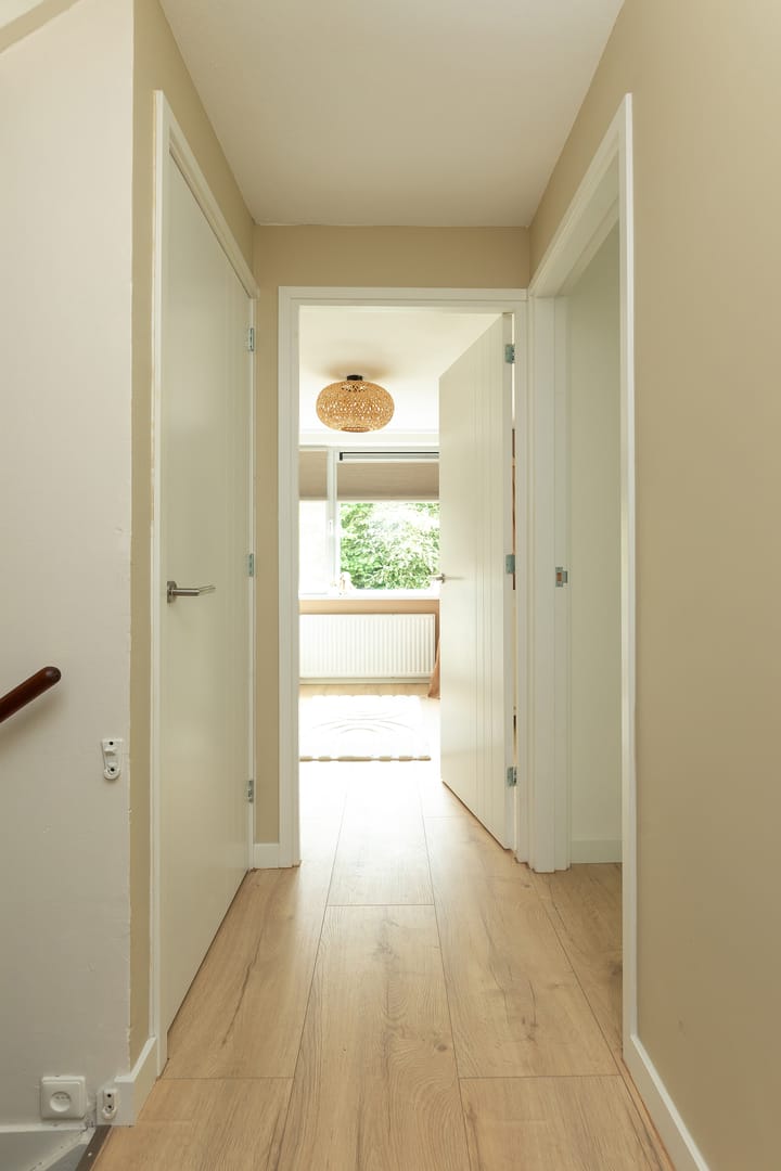 Photo 13 of Buizerd 14