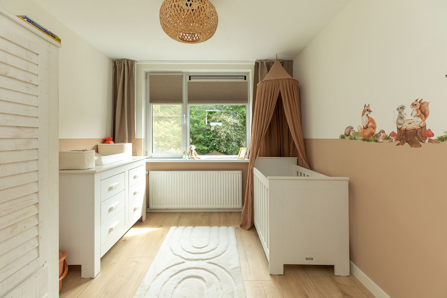 Foto 14 van Buizerd 14