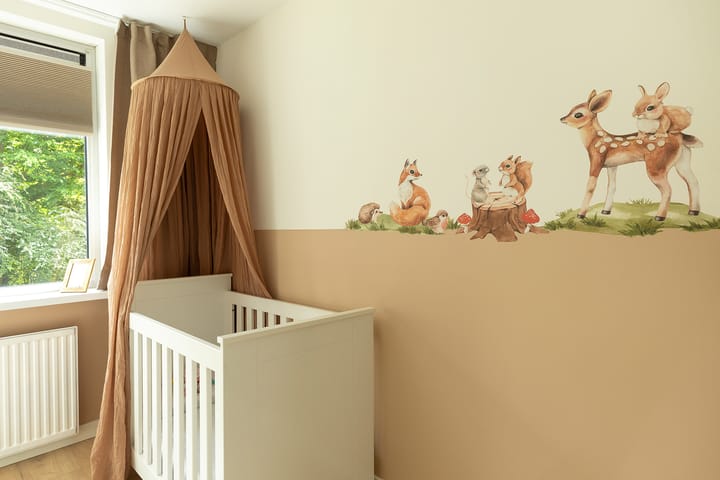 Photo 15 of Buizerd 14