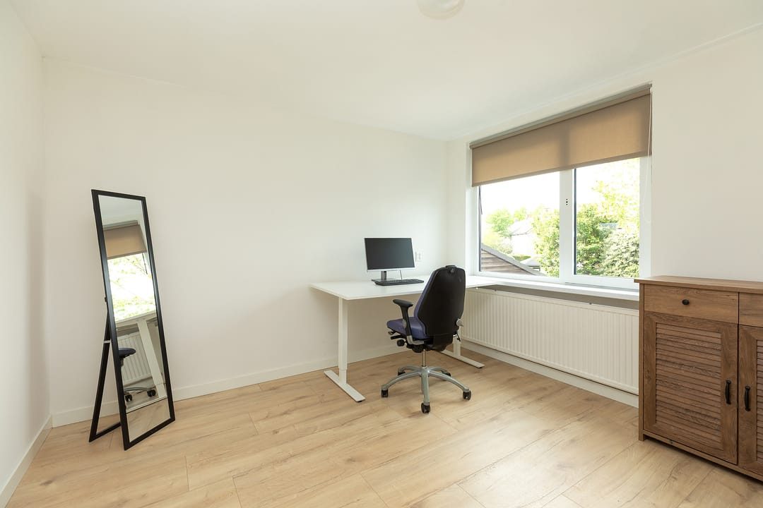 Foto 16 van Buizerd 14