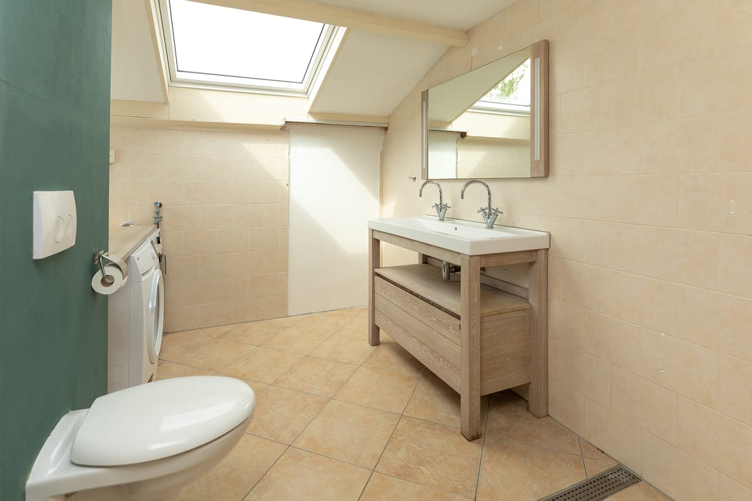 Foto 17 van Buizerd 14