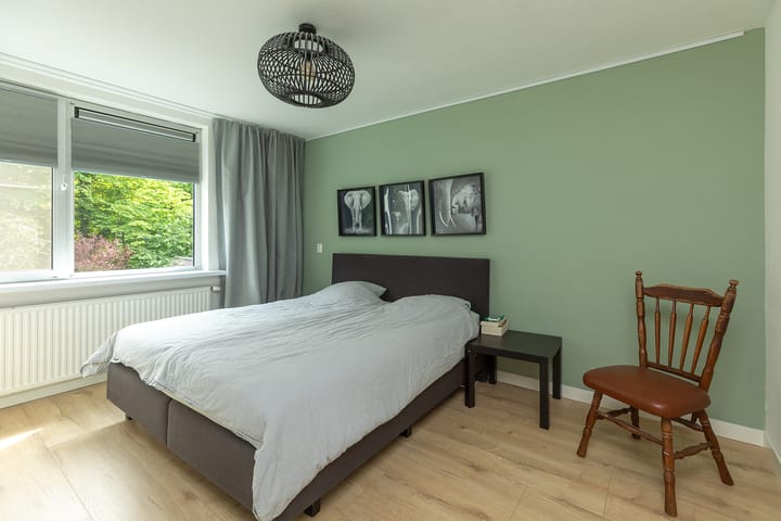 Photo 20 of Buizerd 14