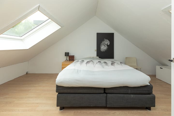 Photo 24 of Buizerd 14