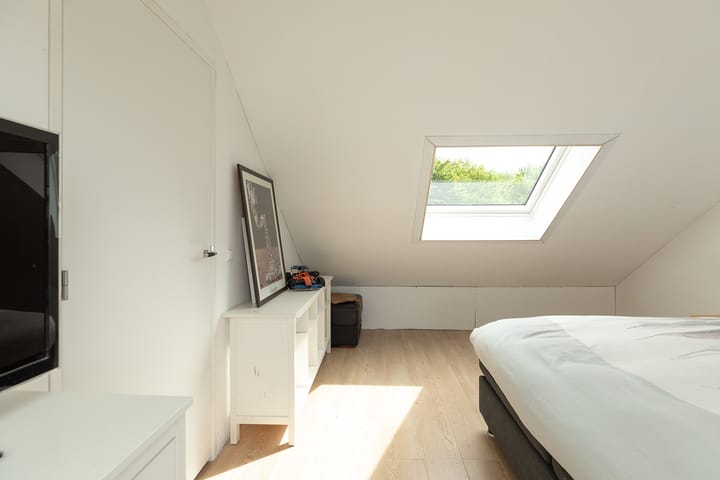 Photo 25 of Buizerd 14