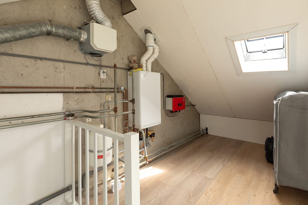 Foto 26 van Buizerd 14