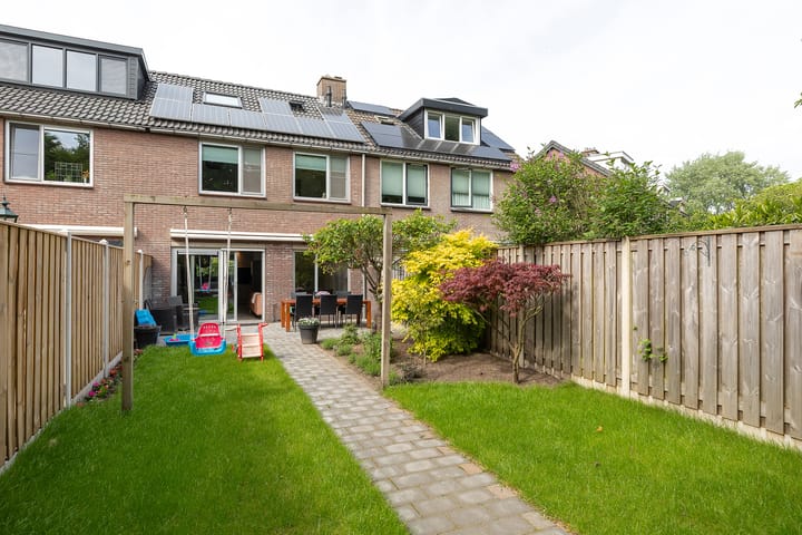 Photo 27 of Buizerd 14