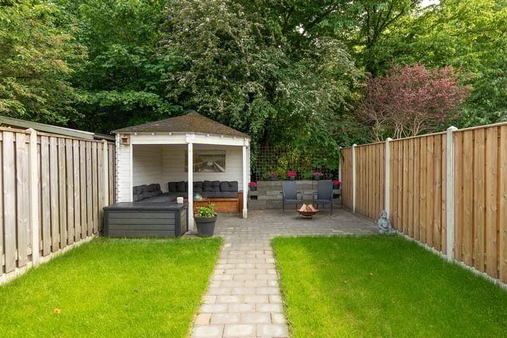 Photo 29 of Buizerd 14