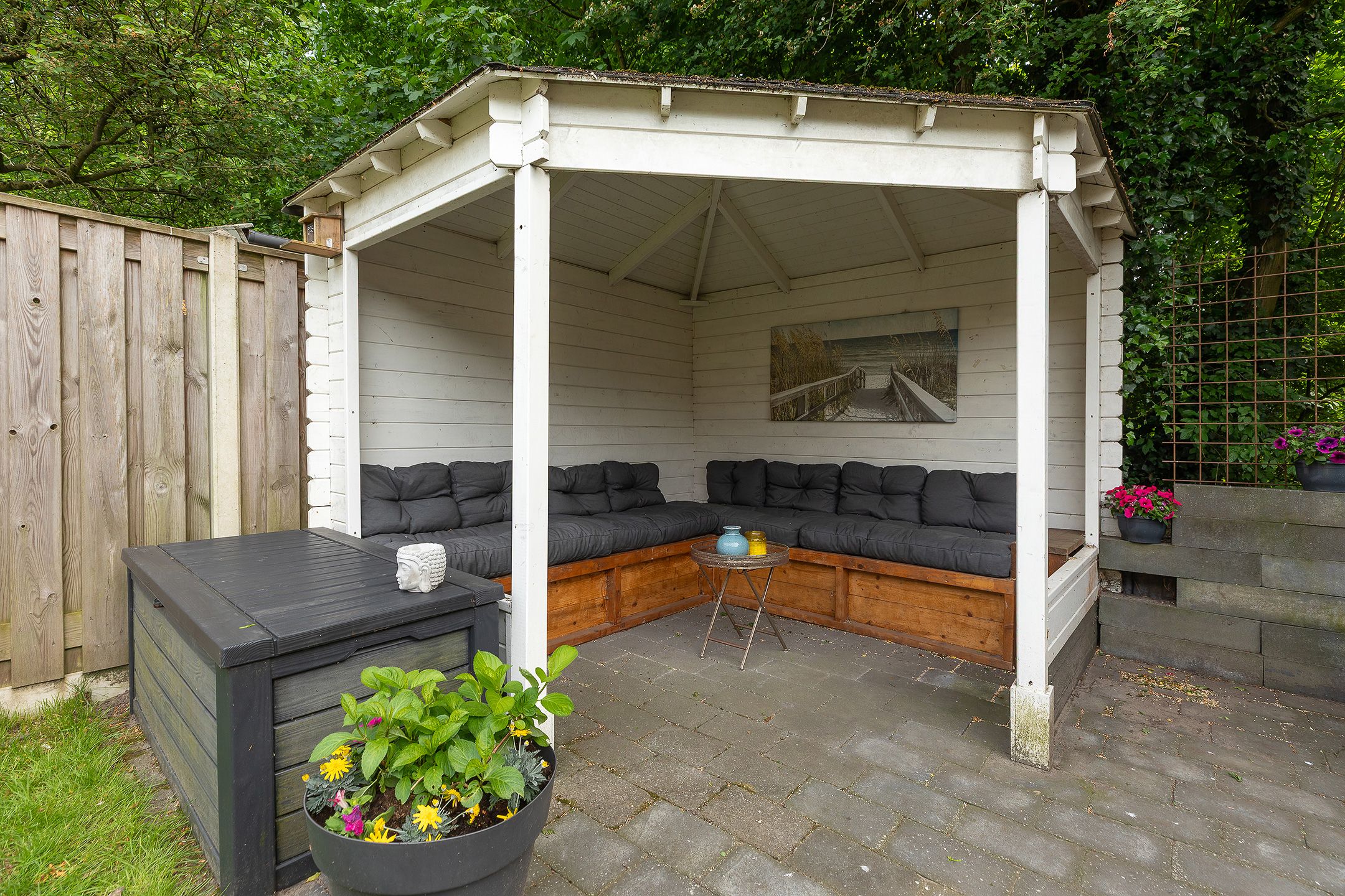 Foto 30 van Buizerd 14