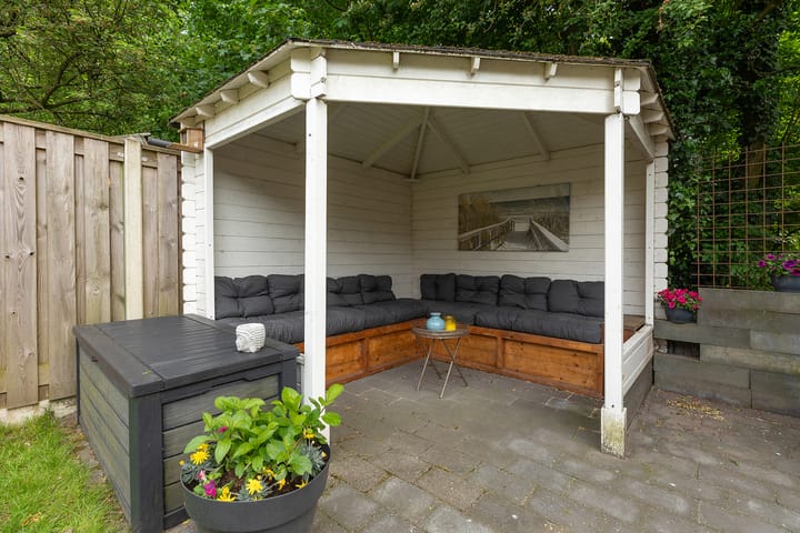 Photo 30 of Buizerd 14