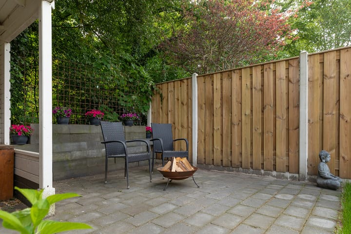 Photo 31 of Buizerd 14