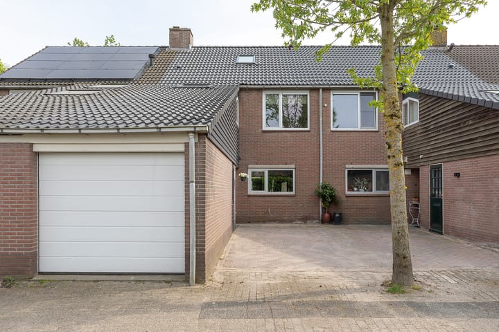 Photo 32 of Buizerd 14