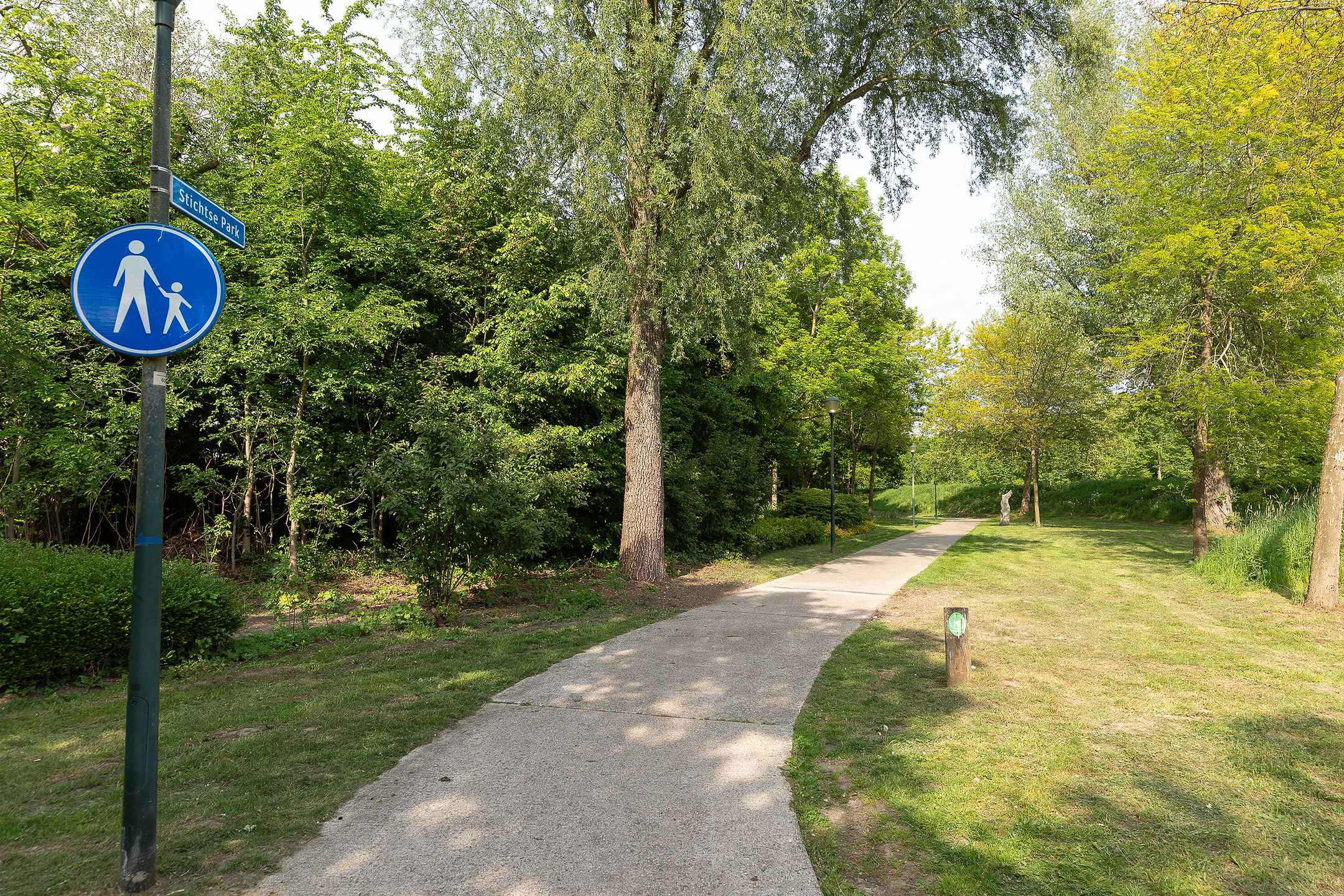 Foto 33 van Buizerd 14