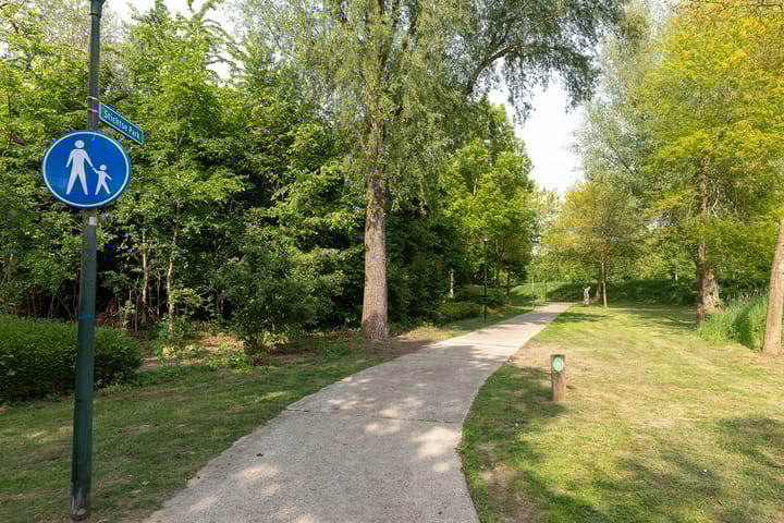 Photo 33 of Buizerd 14