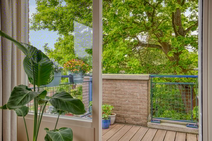 Foto 7 van De Wetering 3