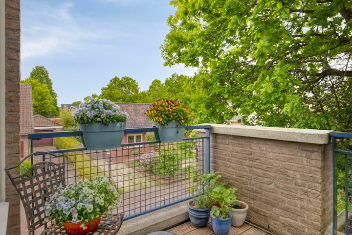 Foto 8 van De Wetering 3