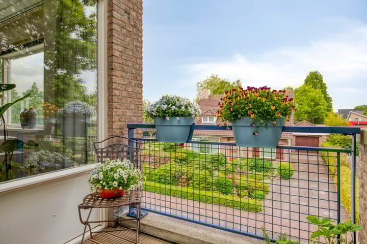 Foto 9 van De Wetering 3