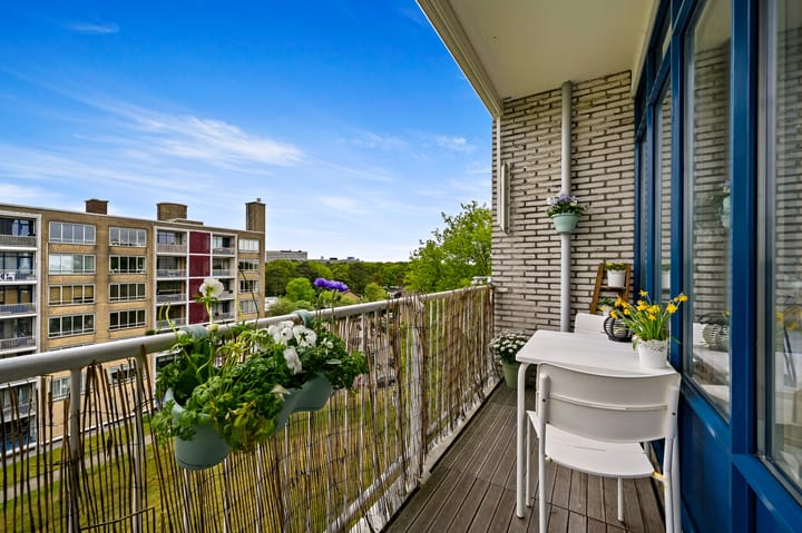 Foto 10 van Van Alkemadelaan 992