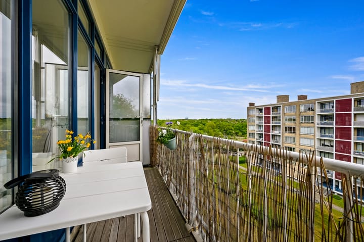 Foto 11 van Van Alkemadelaan 992