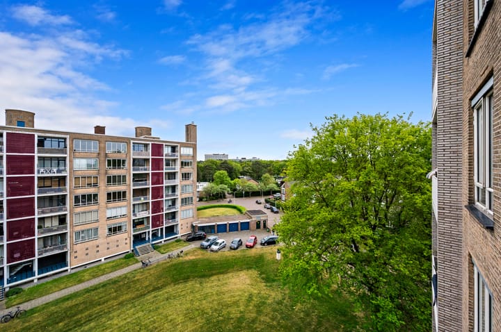 Foto 12 van Van Alkemadelaan 992