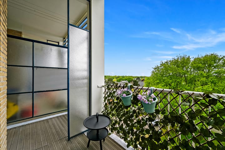 Foto 21 van Van Alkemadelaan 992