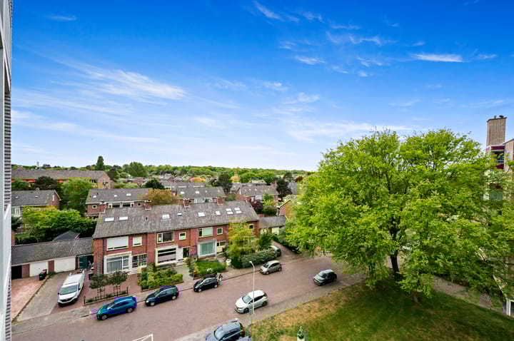 Foto 23 van Van Alkemadelaan 992