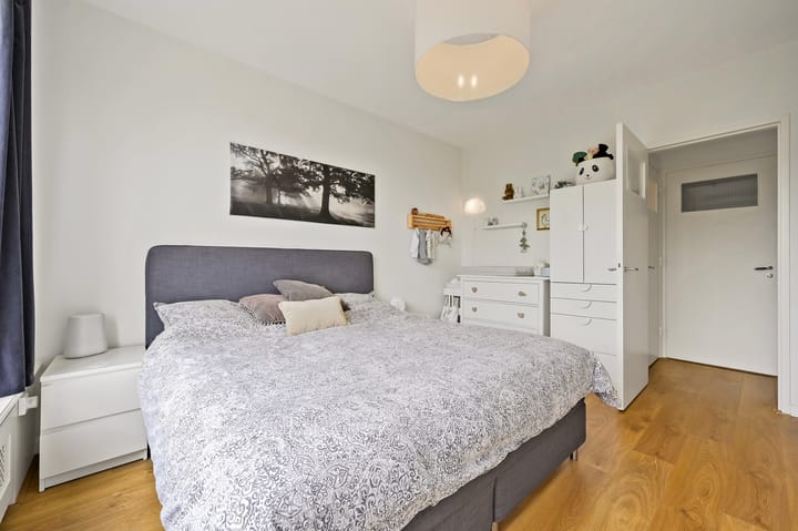 Foto 29 van Van Alkemadelaan 992