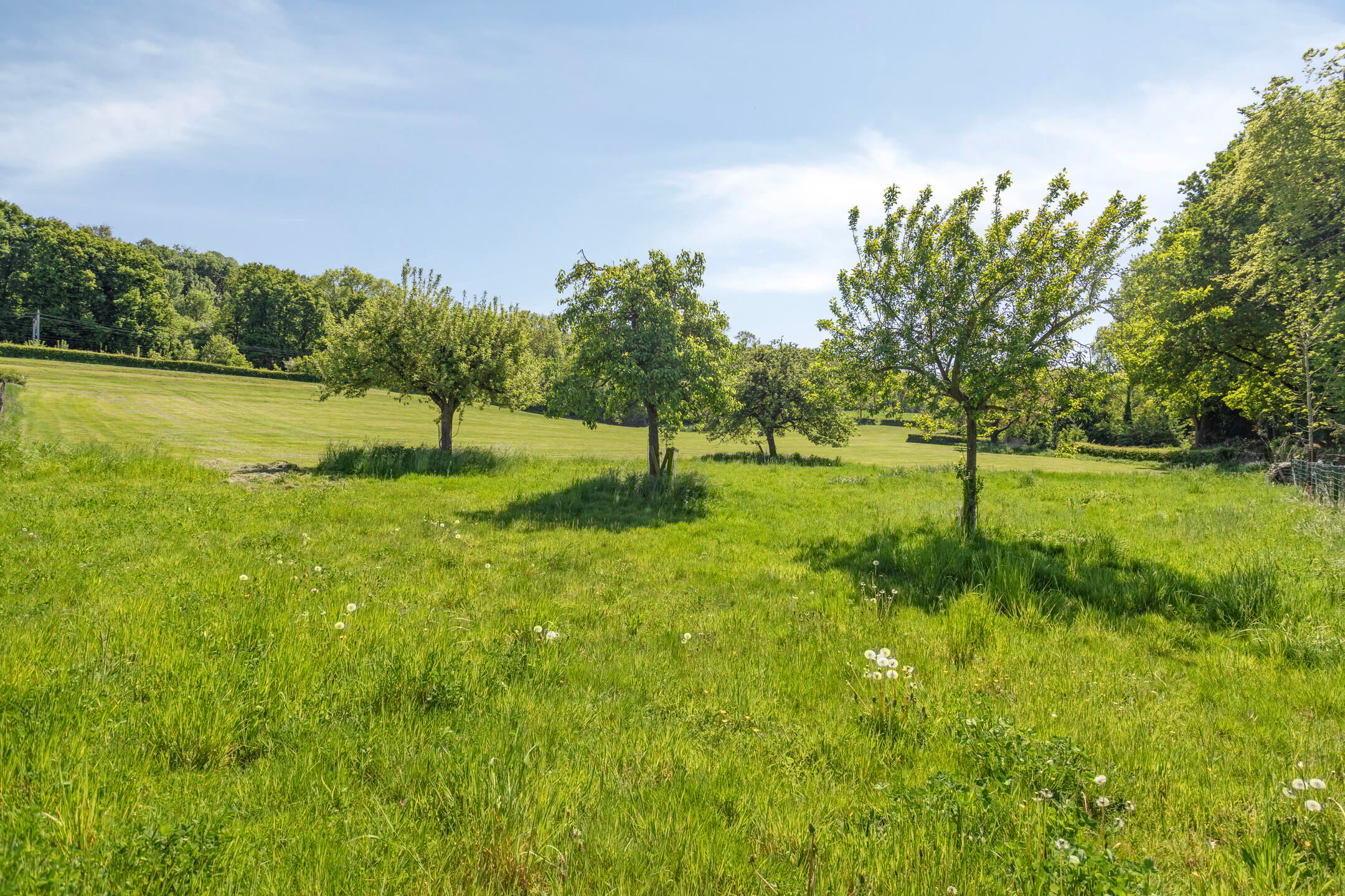 Foto 51 van Oostbroek 19