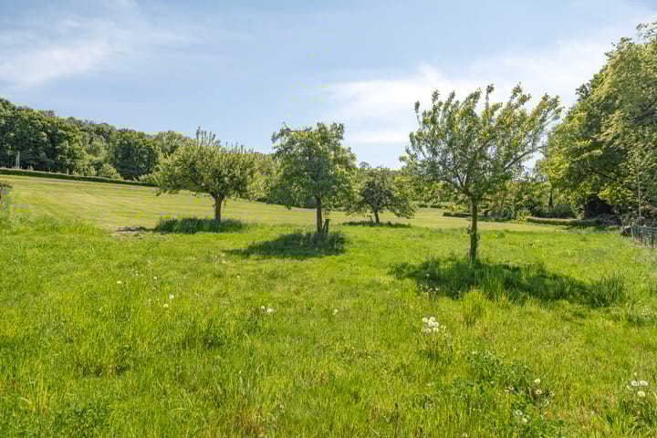 Foto 51 van Oostbroek 19