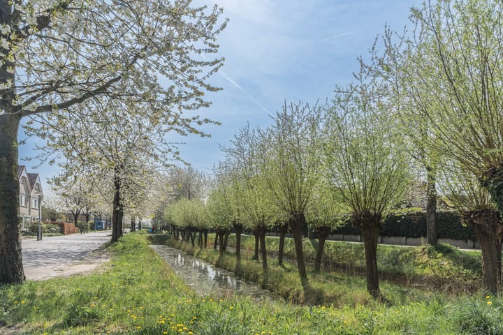 Foto 38 van Molenwindsingel 40