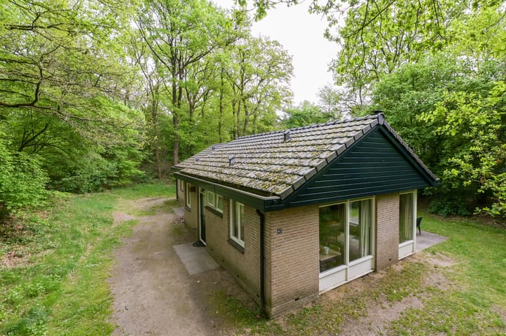 Foto 26 van Grevenhout 21-040