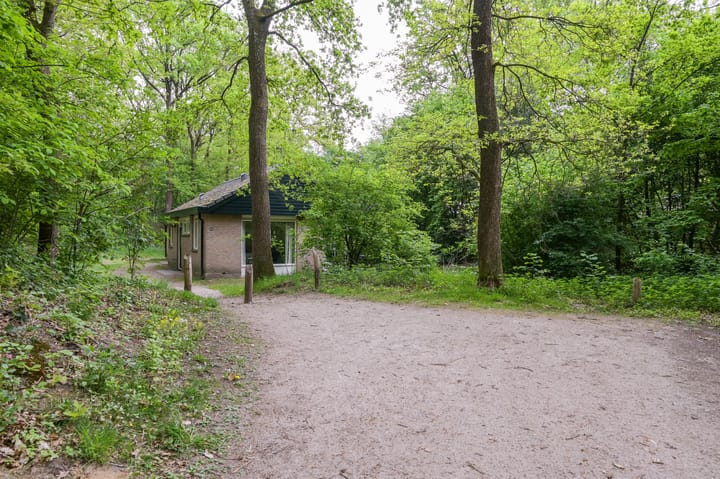 Foto 27 van Grevenhout 21-040