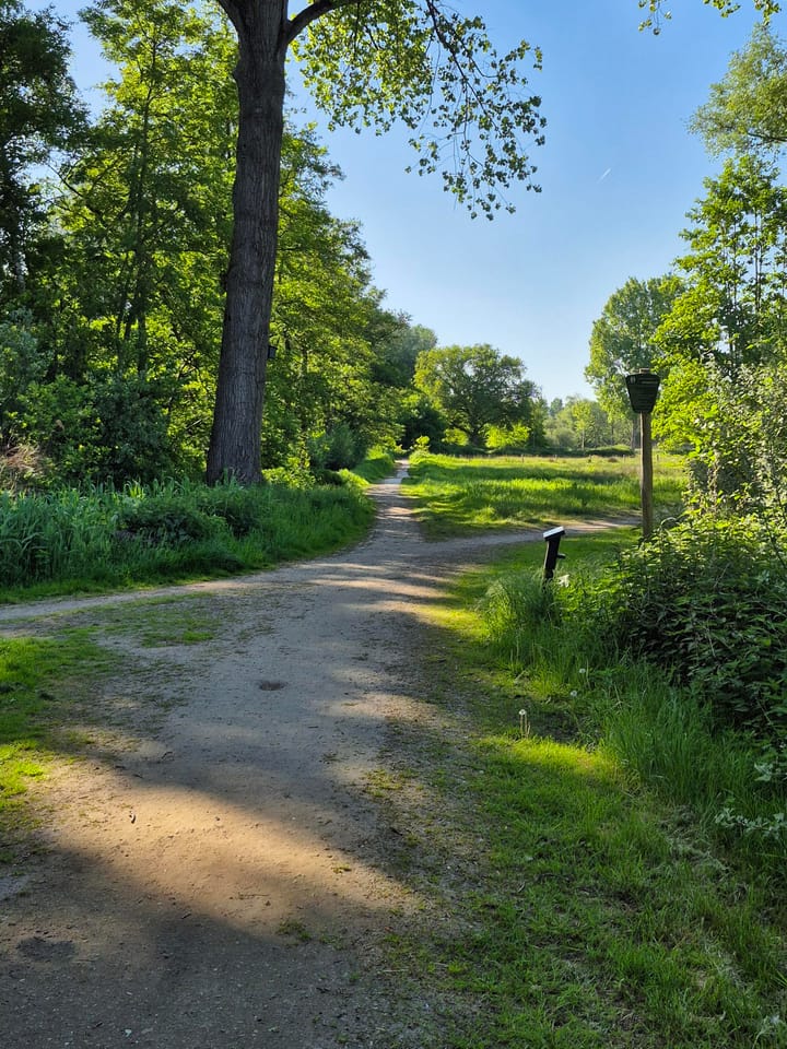 Foto 41 van Fuutstraat 12