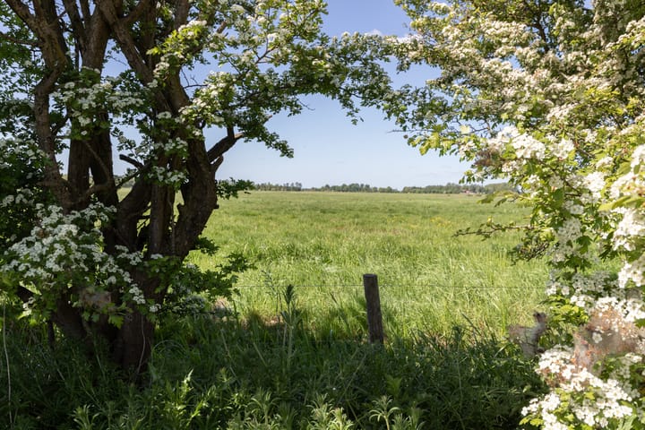 Photo 6 of Mensumaweg