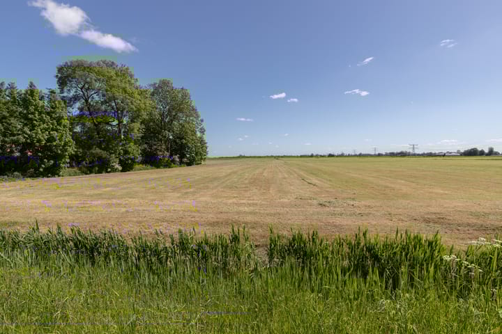 Photo 11 of Mensumaweg