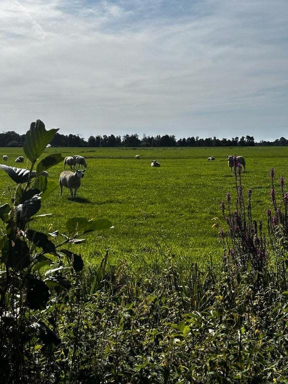 Photo 13 of Mensumaweg