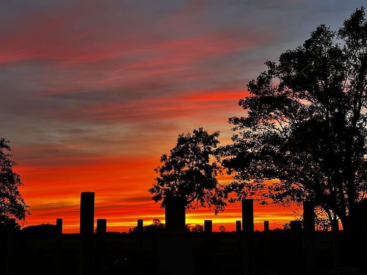 Photo 14 of Mensumaweg