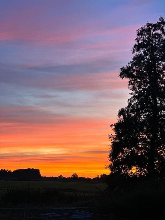 Photo 15 of Mensumaweg