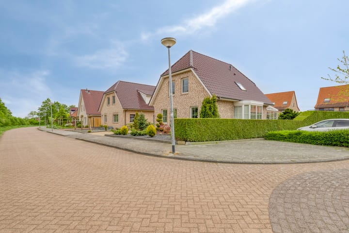 Photo 33 of De Veiling 35