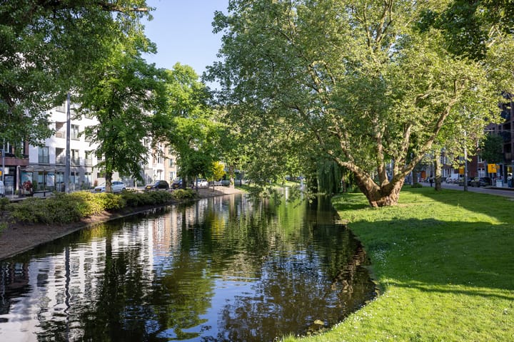Foto 49 van Noordsingel 185-J