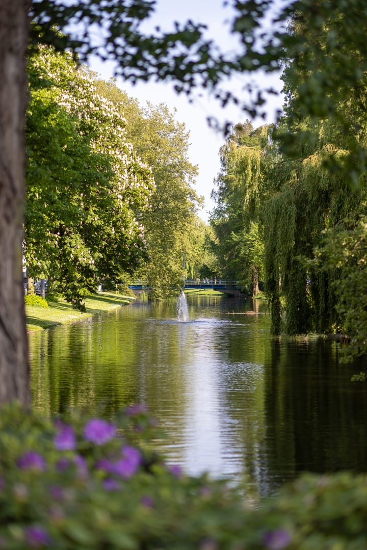 Foto 51 van Noordsingel 185-J