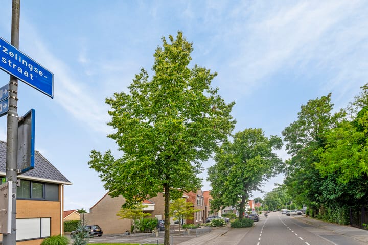 Foto 25 van Biezelingsestraat 70-F